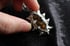 dead good ladybirds spiky necklace Image 10