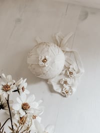 Image 1 of golden daisy