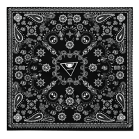 Image 2 of Paisley Bandana