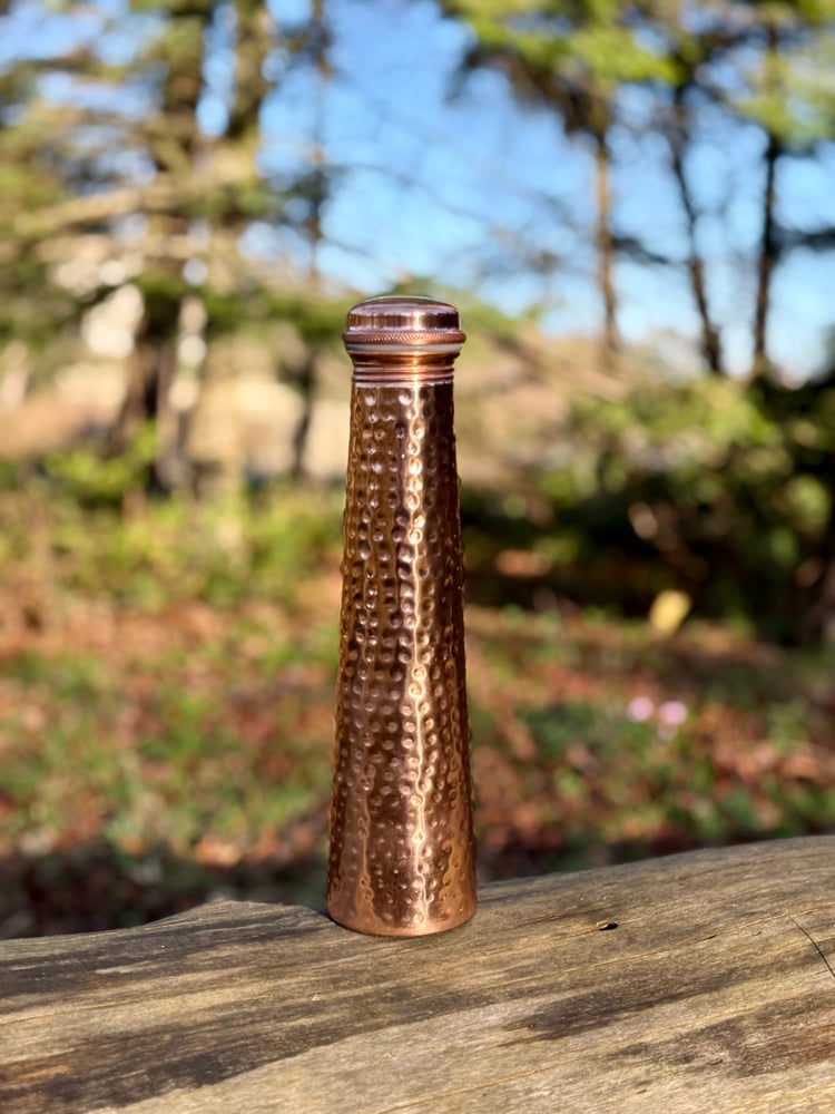 Image of Copper Water Bottle #1