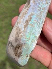 Image 7 of Painted Lady Opal 414ct | Andamooka South Australia #2865