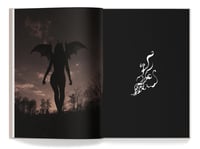 Image 4 of Signed Age of the Succubus 