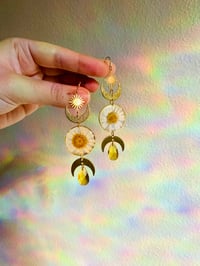 Image 1 of 🌼Daisy Shaniquas🌼