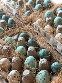 Image 3 of Set of 12 Spun Cotton Eggs, Naturalist Style (4 options)