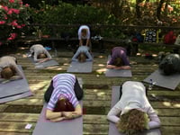 Image 4 of Japanese Garden Mini Sanctuary Session 