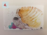 Image 2 of "Sea Beasts Studies" - ORIGINALS