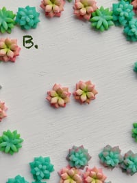 Image 3 of Dainty Succulent Studs 
