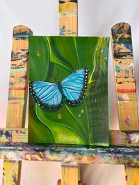 Image 1 of “Blue Morpho”