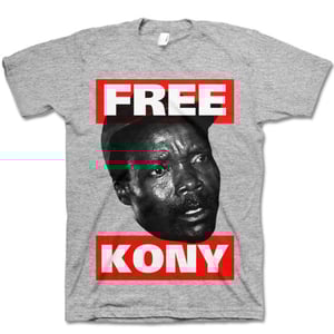 Image of FREE KONY - heather - tee