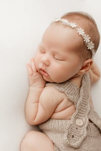 Image 2 of Mohair Tieback 5