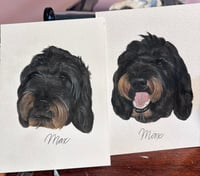 watercolor pet portrait