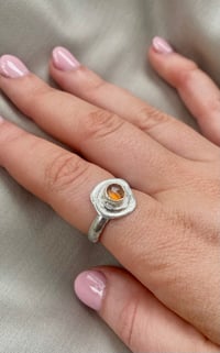 Image 2 of Sunny Side Up