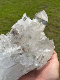 Image 16 of Clear Quartz Points Cluster Statement Piece #2186