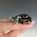 Black & Gray Swirl Tabby: large