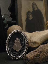 Image 1 of 1800’s biblical Ghost with preserved spider web -9