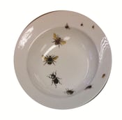 Image of Bees and Beetles