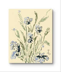 Image 1 of Blue Iris (Print)