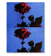 Image 1 of PICK ROSES AT NIGHT I