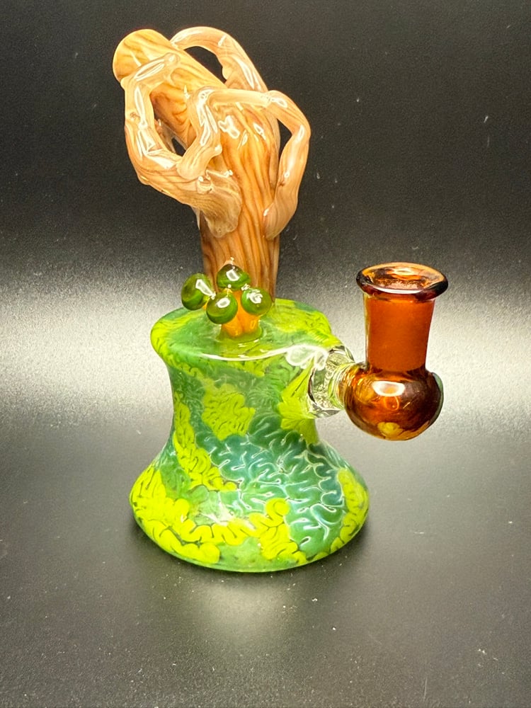Image of Green Headed Jelly Jammer 