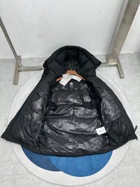 Image 3 of Can Go Lawrence Puffer