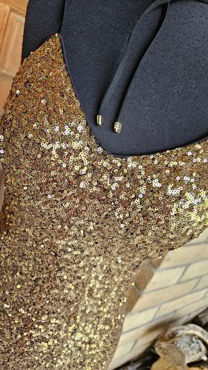 Image of Vienna Sequins Dress 