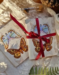 Image 6 of The Moth Keeper’s Pocket Journal