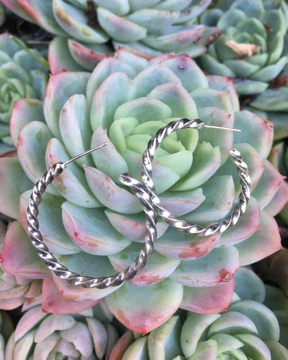 Image of Twisted Hoops Silver