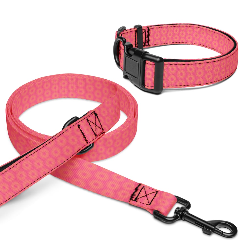 ZEN EXP - Pet collar & leash