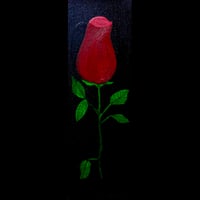 Image 5 of Red Rose 