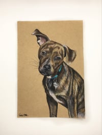 Image 1 of Custom Paper Pet Portrait