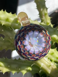 Image 7 of Royal Hyacinth