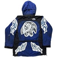 Image 2 of 105.Blue Eyed Fly Dragon