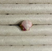 Image 17 of Shell Rings