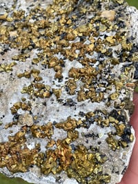 Image 6 of Pyrite, Chalcopyrite, & Sphalerite on Matrix Specimen #384