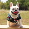 Doggy Collard Floral Shirt
