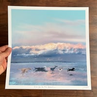 Five Go To The Beach - Archive Quality Print