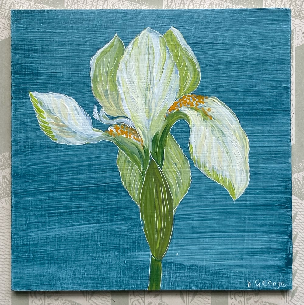 Image of Iris (D)