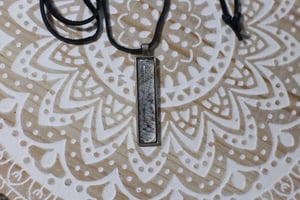 Image of Veiled Chameleon Collection 3