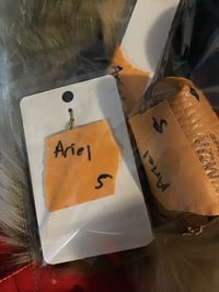 Ariel FB live