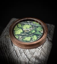 Image 1 of Full Foliage