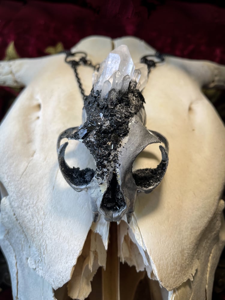 Image of Crystallized Cat Skull - Chain Necklace