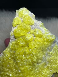 Image 2 of Sulphur On Matrix Specimen #2383