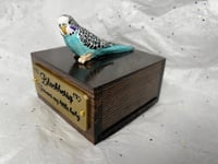 Image 1 of Custom Engraved Budgie Parakeet Handpainted To Your Photos Bird Mini Keepsake Urn Pet Portrait