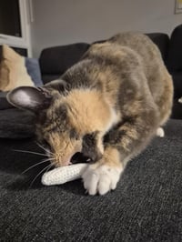 Image 4 of Cat Nip Joints