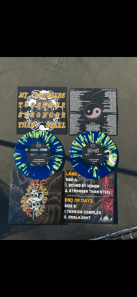 END OF DAYZ/LAND LOST Split 7”