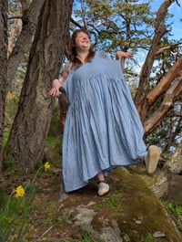Image 3 of Tiny Blue Gingham Dress