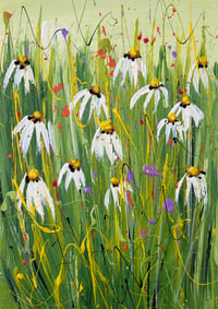 Image 1 of March Daisies