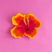 Image 4 of HIBISCUS - Sunset 