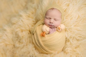 Image of Ducky lovey 