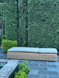 Image 4 of Harolds Signature Sun lounge 